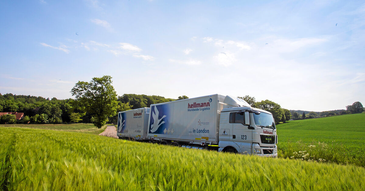 Der Logistiker Hellmann Doppel Whopper Ist Meist Zu Viel Eurotransport