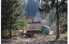 Starker Typ FF 7/2022, Tatra Phoenix, Holztransport