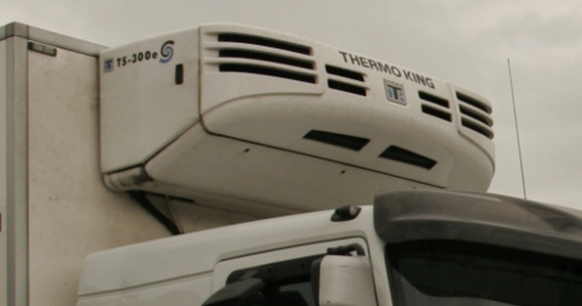 Fahrzeuge: Thermo King: Service für Süddeutschland - eurotransport